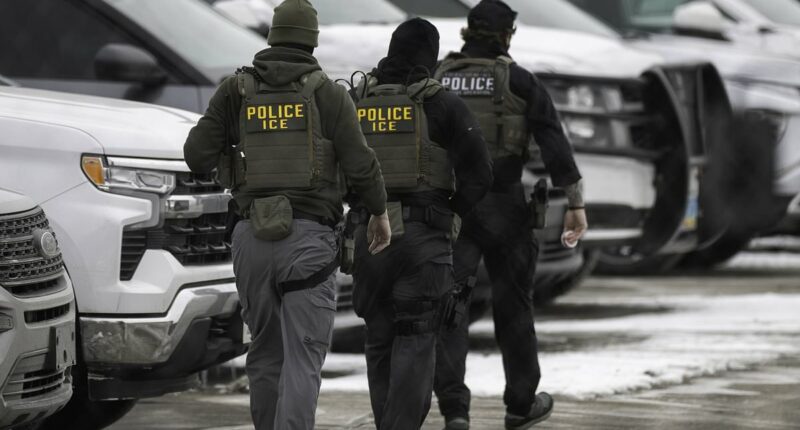 British grandmother detained by ICE for six weeks despite having a valid visa tells fellow tourists: Don't go to America, don't go to the World Cup