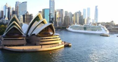 A ship at Sydney's Overseas Passenger Terminal.