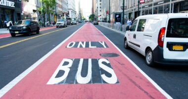 Bus lane, bike lane projects killed by Adams coming back under Mamdani