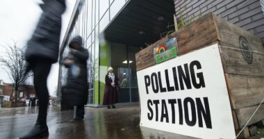 By-election voters ditch Labour - and hit out at 'bonkers' Greens