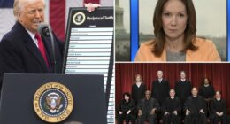 C-SPAN caller using Trump's pseudonym and remarkably familiar accent slams Supreme Court tariff ruling