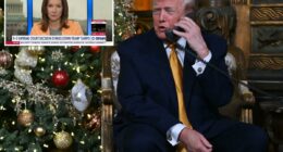 C-SPAN clarifies caller using Trump pseudonym to slam Supreme Court wasn't the president