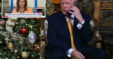 C-SPAN clarifies caller using Trump pseudonym to slam Supreme Court wasn't the president