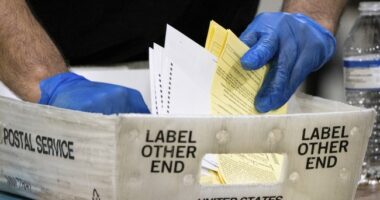 CA Republicans Have Gathered 1.35 Million Signatures to Force Showdown on Voter ID Measure