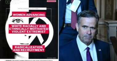 CIA rescinds 19 DEI-infused intel reports, including warning about women in traditional 'gender roles'