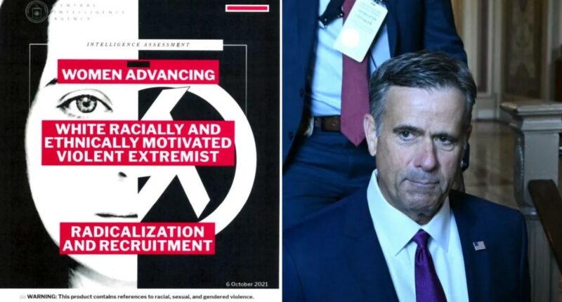 CIA rescinds 19 DEI-infused intel reports, including warning about women in traditional 'gender roles'