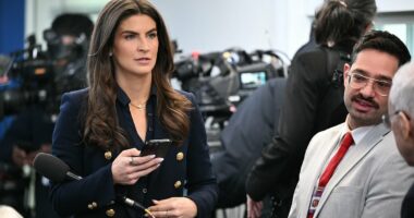 CNN has lost nearly two-thirds of its viewership since 2016 amid growing fears network is circling the drain