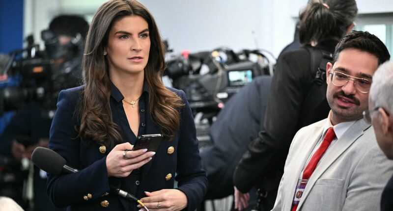 CNN has lost nearly two-thirds of its viewership since 2016 amid growing fears network is circling the drain