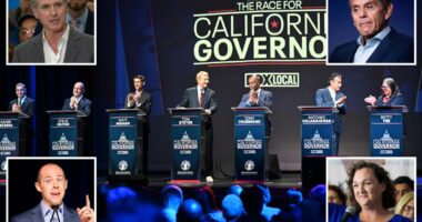 California Democratic Party convention in San Francisco