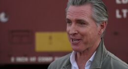 California Democrats accidentally hand Donald Trump a win