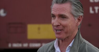 California Democrats accidentally hand Donald Trump a win