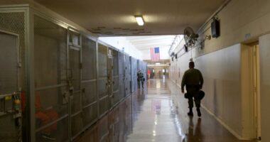 California child molester David Allen Funston granted parole