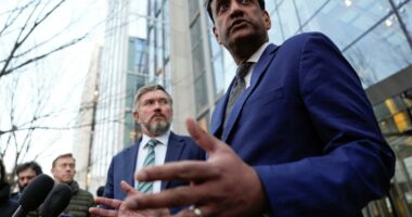 California lawmaker's Epstein bombshell outs 4 random men with no connection