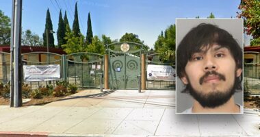 California middle school assistant principal nabbed in child sex sting