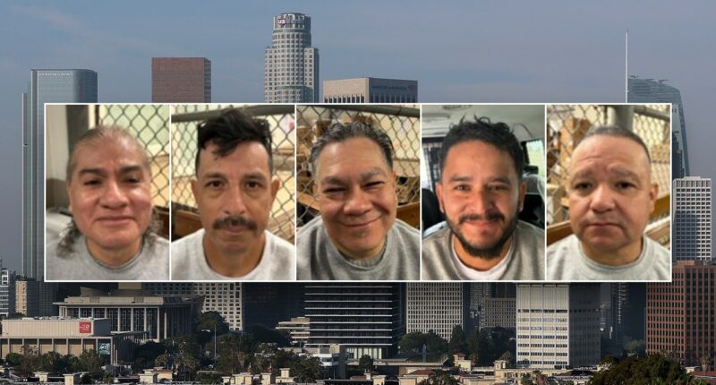 California sanctuary policies blamed after ICE arrests 9 sex offenders in Los Angeles