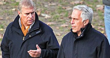 Calls for probe into Andrew grow as claims 'show he abused position'