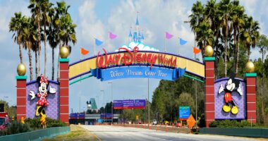 Canadian ditch US Disney theme parks amid Trump travel boycott