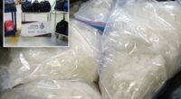 Canadian officials seize nearly 600 pounds of meth at US border