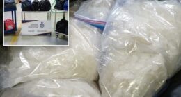 Canadian officials seize nearly 600 pounds of meth at US border