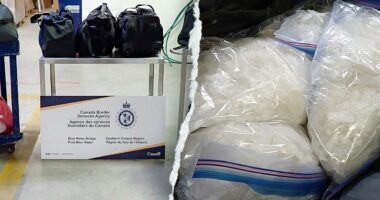 Canadian officials seize nearly 600 pounds of suspected methamphetamine at US border