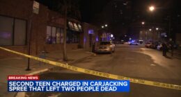 Carjacking Chicago: Shooting, crime spree from Lakeview to South Side ends with 2 dead; Marquese Hill and teen charged