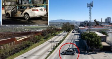 Cartel warfare threatens to spill into California as narco-terrorists unleash hell on border city