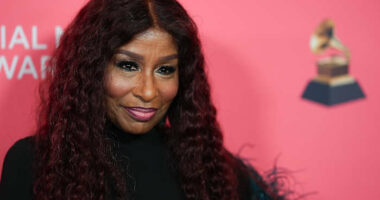 Chaka Khan, Cher, Whitney Houston, Fela Kuti get Grammys Life Achievement Awards