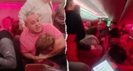 Chaotic video shows passengers trading midair blows; plane forced to divert: reports