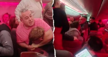 Chaotic video shows passengers trading midair blows; plane forced to divert: reports