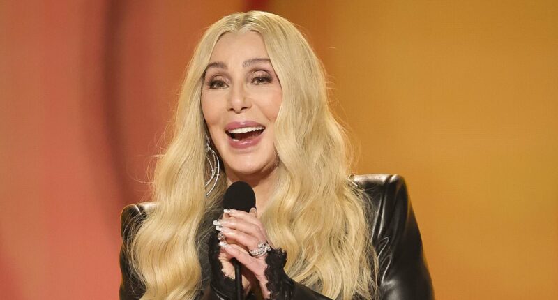 Cher was 'briefed' with instructions before Grammys gaffe