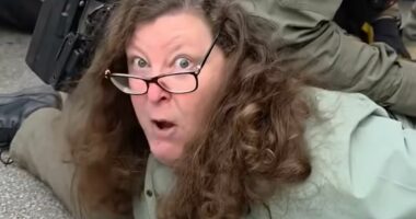 Chicago TV producer fired after undignified arrest at anti-ICE protest