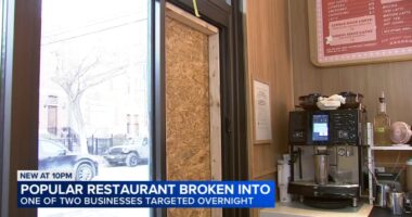Chicago crime: Police investigating business burglaries on North Southport Avenue in Lakeview, including Little Goat Diner