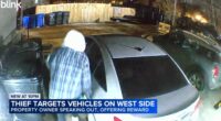 Chicago crime: Surveillance camera video captures series of car break-ins on West Side; property owner offers $2K reward