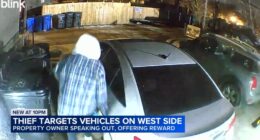 Chicago crime: Surveillance camera video captures series of car break-ins on West Side; property owner offers $2K reward