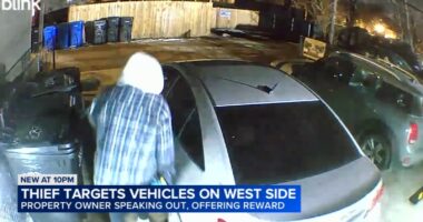 Chicago crime: Surveillance camera video captures series of car break-ins on West Side; property owner offers $2K reward