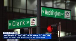 Chicago police: Woman randomly punched near Daley Plaza in the Loop while walking to work, victim speaks out; CPD investigating