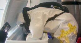 Chinese-linked biolab discovered in Las Vegas home sparks federal investigation with SWAT response