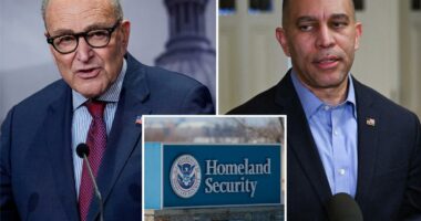 Chuck Schumer says there are only 3 sticking points in DHS shutdown as thousands of federal workers go unpaid