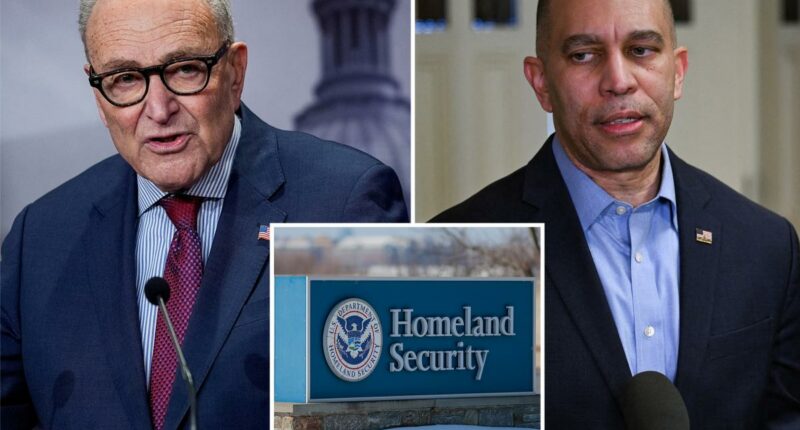 Chuck Schumer says there are only 3 sticking points in DHS shutdown as thousands of federal workers go unpaid