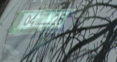 City overcharged residents for city sticker, Chicago parking ticket for years, judge rules