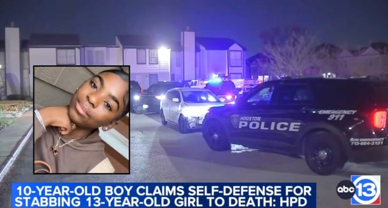 'Claimed self-defense': 10-year-old boy stabbed 13-year-old girl to death during massive apartment complex fight involving '20 to 30′ people, cops say
