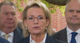 Coalition remains in tatters despite 'constructive' talks, peace offering