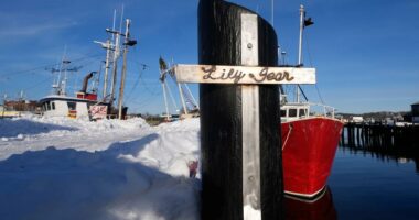 Coast Guard identifies 7 victims on board Gloucester commercial fishing boat that sank off Massachusetts