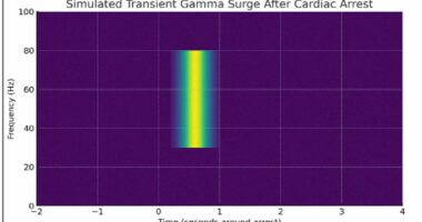 Consciousness exists BEYOND death, bombshell study claims