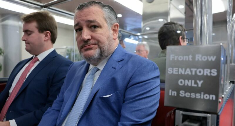 Conservative media titan set to back Ted Cruz 2028 presidential campaign in shock blow to JD Vance