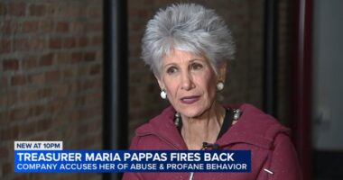 Cook County Treasurer Maria Pappas speaks out on Tyler Technologies, contracted to upgrade Cook County property taxes system