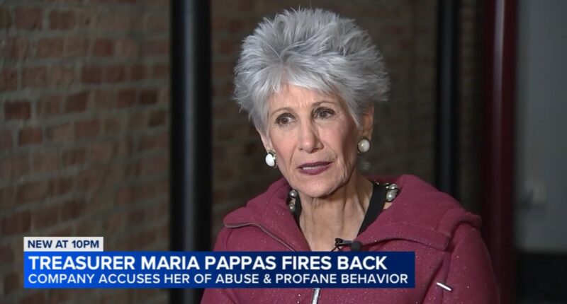 Cook County Treasurer Maria Pappas speaks out on Tyler Technologies, contracted to upgrade Cook County property taxes system