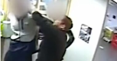 Cop sacked for striking violent suspect as he tried to escape arrest