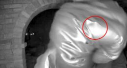 Cops investigating Nancy Guthrie's abductor's 'pinky ring'