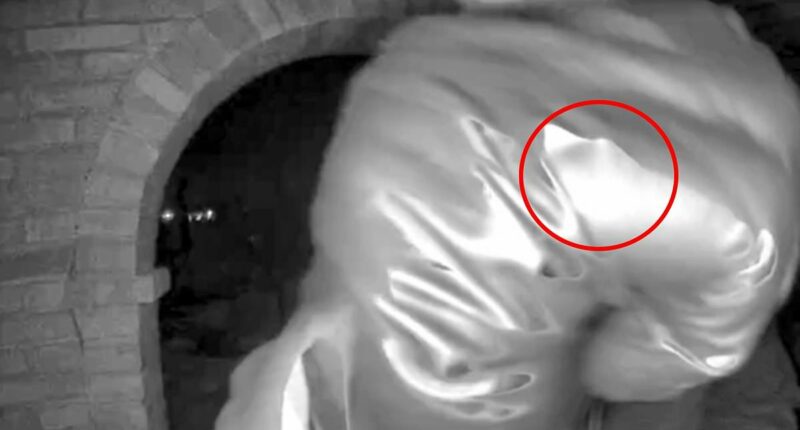 Cops investigating Nancy Guthrie's abductor's 'pinky ring'